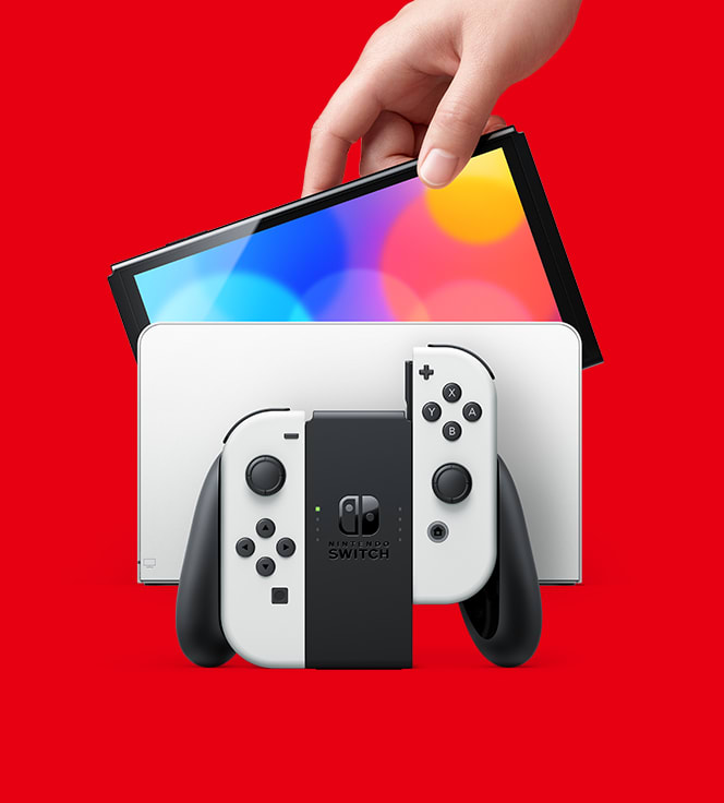 日本全国送料無料商品人気ランキング Nintendo Switch Lite | Nintendo Switch Family 携帯用ゲーム機本体